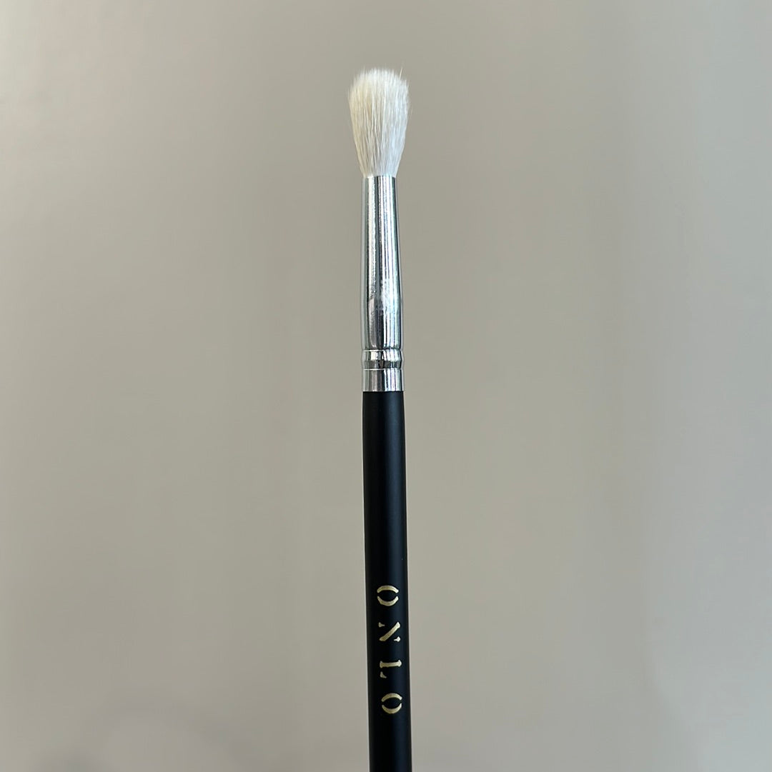 Makeup brushes